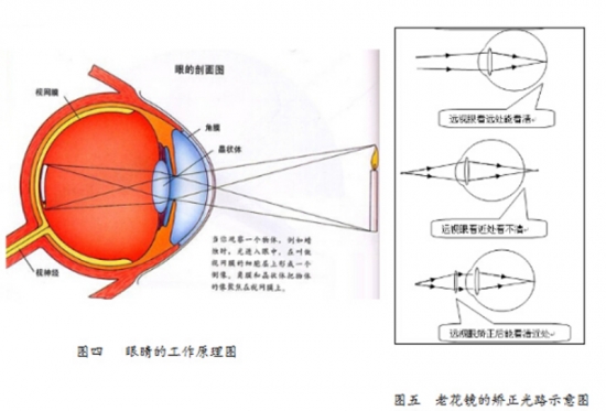 美丽岛眼镜：老花镜不可随意乱带，需要在专业验光后科学配制