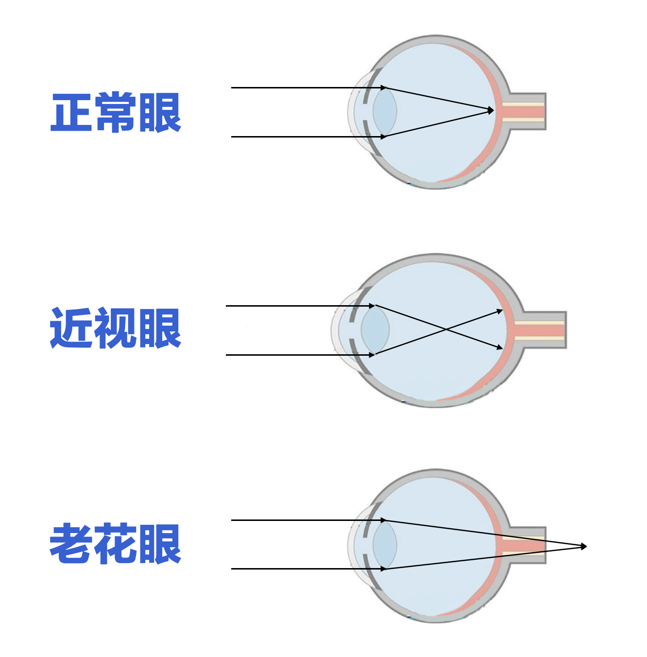 美丽岛